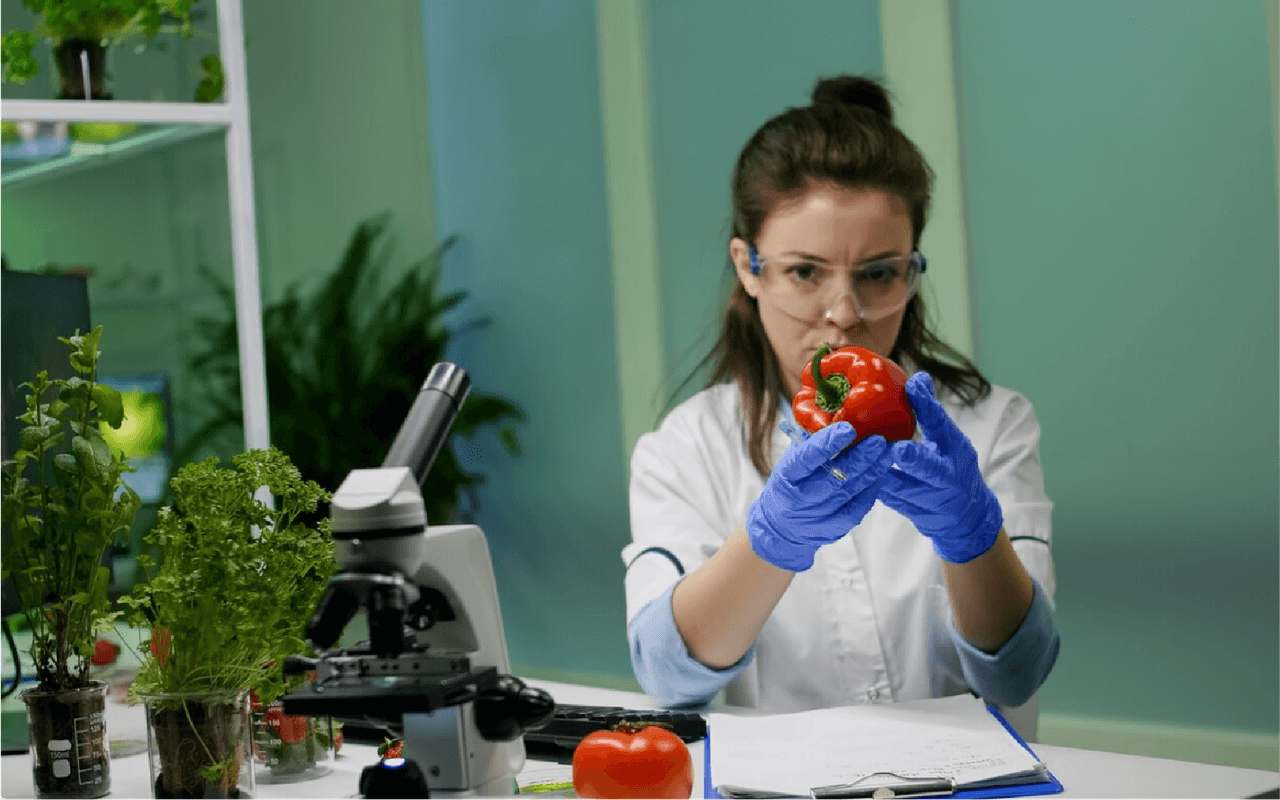 9 Benefits of Fresh Meal Delivery in UAE in 2025 -Enhanced Food Safety and Quality Control